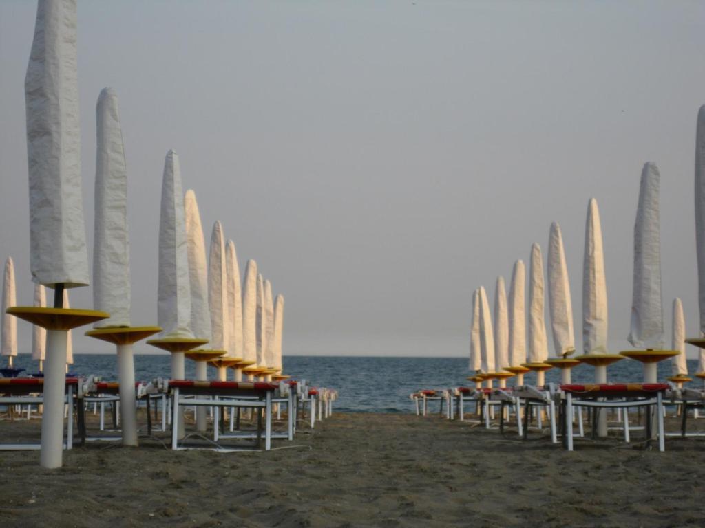 International Hotel Cavallino-Treporti Exteriér fotografie